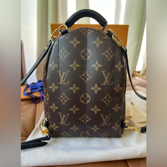 Louis Vuitton Palm Springs Mini - Picture 4 of 12